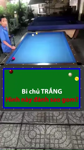 Một băng nghịch - vàng 2 băng về gom bida #xuanhong #bida #bidagom #billiards #billiard #bidalibre #bidaphang