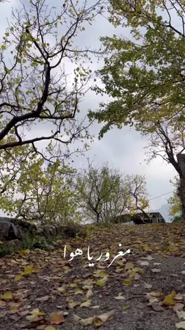 #فيروز #فيروز_الصباح #فيروزيات #فيروز_و_فنجان_قهوة #naturevibes #naturelover #fyp#صباح_الخير #صباح_النور #صباح_الهدوء #صباح_الورد #الضنية #حقل_العزيمة ‎#الضنية #الضنية_الخضراء #الضنيه_الخضرا_وطبيعتها #الضنية_الخضراء_لكل_لبنان #الضنية_منطقة_الجمال_والأمان #حقل_العزيمة #مغرور_يا_هوى 