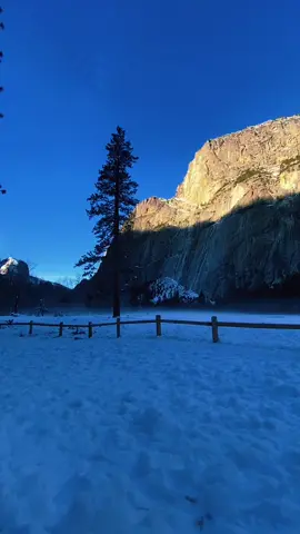 This is true 🙏♥️ #life #quotes #truth #Love #and #peace #Relationship #struggles #fyp #fypシ #foryou #viral 