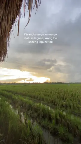#fyp #fypシ #viral #sunset #asmarakacau 