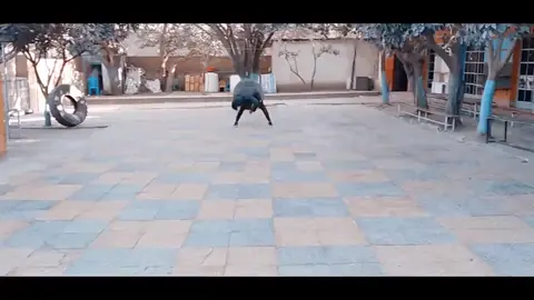 #fyp#habesha#tiktok#wasihun#jeet#kune#do#Art