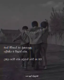 උඹලා තරම් වෙන කවුරුත් set නැහැ මට ! ❤️ එහෙම උන්ව mention කරන් යන්න ❤️🥺  #whatsappstatus #ownvoice #sinhalastatus #voicedvideos #sinhalavoice #viral #trending #like #fyp #srilankatiktok #statusvideo #Love #friendship