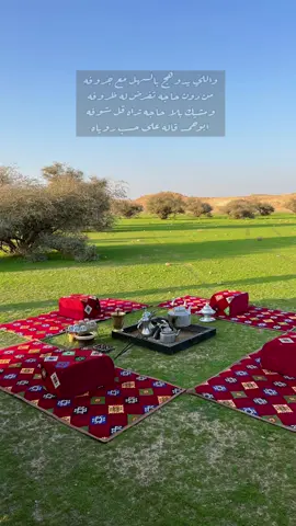 ٧٠ بيت كل بيت عن قصيدة🤍.. #شعر #اشعار #قصيد #فواز_الغسلان 