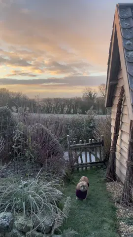 frosty start ❄️
