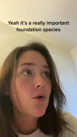 I’m sorry y’all don’t ask me about marine mammals #marinebiology #marinebiologist #fyp #womeninstem #kelp 