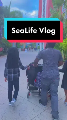 This is now one of my favorite Christmas memories! 😍 #FamilyVlog #brownbabiesindisney #minivlog #ditl #christmastraditions #Santa #blackfamily 