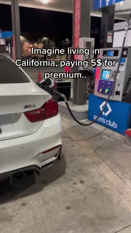 #fyp #fypシ #foryou #m4 #f82 #f82m4 #bimmerboy #bimmergirl #carsoftiktok #carscene #aboogie 