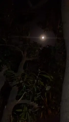 Definitivamente este hombre tiene una voz hermosa 😍 #pabloalborán ❤️ #sepuedenamar #parati #fypシ #fyp #fypシ゚viral #viralvideo 🌕✨