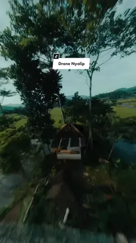 Video Drone Sawah = RCTI🙃🤣 #fpvdrone #bamonexplore 