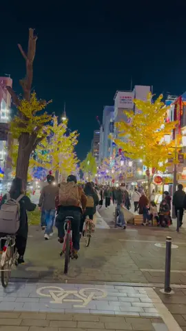 Đông đến rồi. Anh vẫn cứ như thế. Dòng người thì vẫn luôn vội vã                                                Osaka về đêm thật đẹp, nhưng anh không biết đi đâu để gặp em 🍂💙 #CapCut #fyp #osaka #難波 #midosuji #đông #sad 