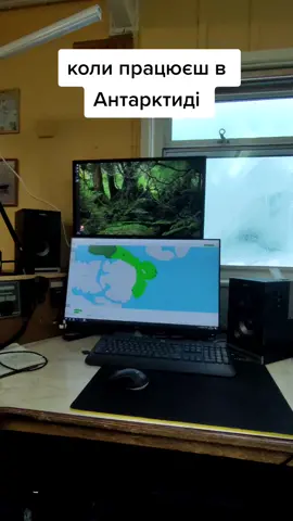 #пінгвіни #pinguin #antarctica #vernadsky #polar #winter #антарктида #полюс #снігопад #сніг #iceberg 