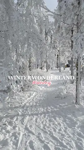 Weekendje Winterberg ❤️🎿❄️🌲⛷️ #winterberg #december #skiing #winterwonderland #fyp #foryou #foryoupage 