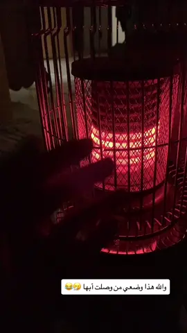 من كثر ما اقول برد برد صرت استحي على وجهي 😂😂😂💔   #برد #برد_الشتاء #ابها_الان #ابها_عسير_الجنوب_السوده #اكسبلور #اكسب #اكسبلورexplore #ترند_تيك_توك #اوبها #الحزام_ابها #مغتربين #جديد #دوامات 