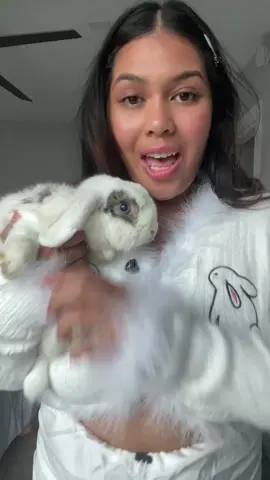 Easily my new fave sweater!! My bunny was such a good boy participating in this fit vid lolol #fitcheck #coquetteaesthetic 