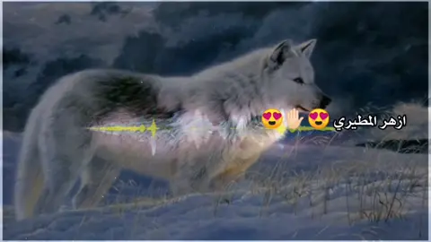 #اشعار عراقيه شعبي قصير #✋🏻✋🏻✋🏻✋🏻✋🏻😎😎😎😎😎😎☝🏻☝🏻☝🏻☝🏻☝🏻☝🏻🤒🤒🤒💔💔💔