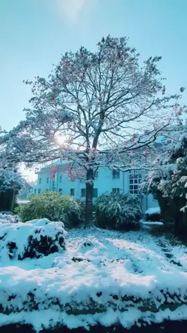 When it snows ❄️🤍❄️🤍❄️ #winter #scenery #swiss #switzerland #winterthur #fürdich #fyp 