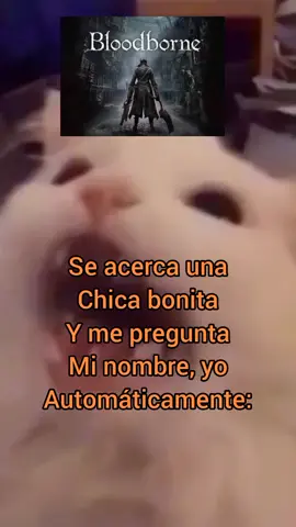 #powerbazinga #humor #viral #trend #fakesituation #darksouls #bloodborne #eldenring #eldenringhype #soulsborne #miyasaki #sekiro #plinplon #fromsoftware #parati #meme #namco #gato #cat 