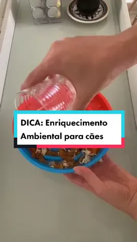 Já salva essa dica de enriquecimento ambiental com o Comedouro Gira Gira (lançamento Petiko!)