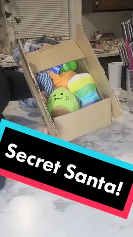 Secret Santa! 🎅🐾#secretsanta #santa #dog #dogsoftiktok #perros #perritos #santasecreto #dogtoy #unboxing #borzoi #borzoisoftiktok #doglover #dogmom #cute #trend #fyp #viral #dogtok 