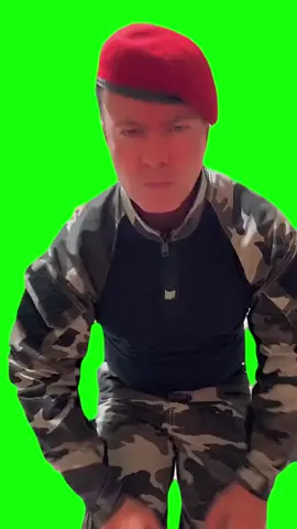 Brazilian soldier dance pantalla verde#foryou #meme #dancing #memes #braziliansoldiers #foryou #dance #trend 