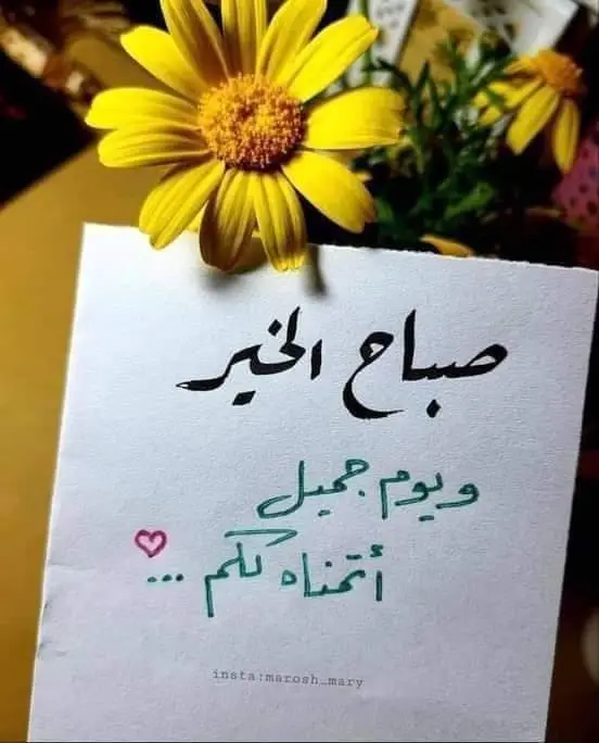 #اكسبلور #صباح_الخير #اجمل #الصباح #مع#اغاني#فيروز💛 