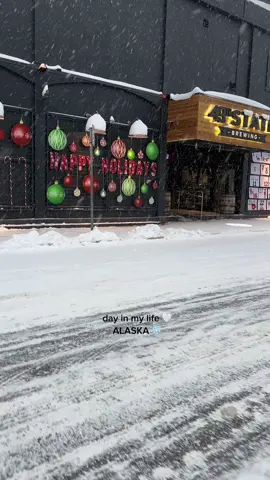 12/11/22 spent the day out since we knew the snow was coming ❄️  #contentcreator #microinfluencer #diml #dailyvlog #Vlog #alaska #anchorage #alaskacontentcreator #anchoragecontentcreator #crueltyfreebeauty #alaskainfluencer #anchorageinfluencer #Vlogmas 