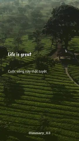 Life is GREAT ... So remember to SMILE ☺☺☺  #LearnOnTikTok #motivation #quotes #learnenglish #studywithme #englishquotes #immary #xuhuong #english 