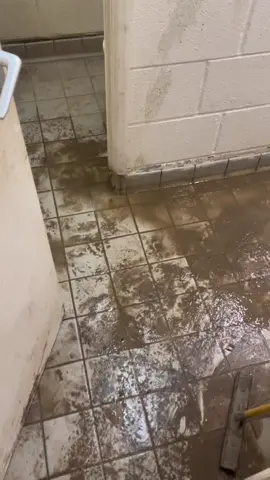 Worlds worst toilet #disgusting #hygiene #pigs #filth 