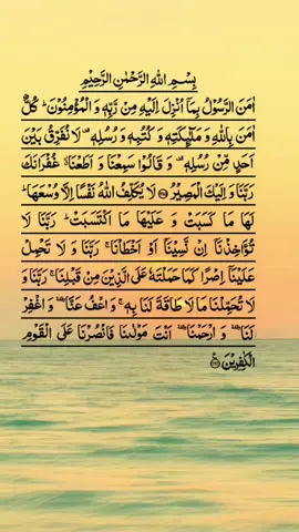 Surah Al Baqarah Last 2 Ayat 🌹🌹🌹 #surahalbaqarah#quran#quranrecitation#foryourpage#foryou#fyp#i_love_makkah1#muhammad#surah#tilawat#quran_alkarim#allah#الهم_صلي_على_محمد_وأل_محم 