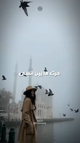 اطير ويه الهوا لو يمر طاريك❤️ - فؤاد سالم #فؤاد_سالم #فؤادسالم #kinaraa #كنارة #kinaraaiq #تراث_عراقي #ارشيف_عراقي #اغاني#بغدادية #بغداد #بغداديات #تراث #ارشيف