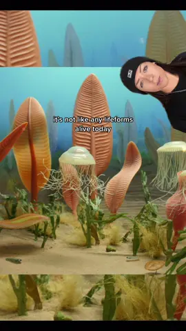 absolutely crazy to think about #prehistoric #fossil #evolution #themoreyouknow 