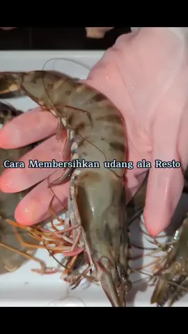 Cara membersihkan Udang ala Resto biyar saat di masak cantik dan baik #GenerasiHappyTikTokChallenge #makananjepangpinggiran @#hobimasak #tipsandtricks #tipsbuatkamu #tipsmemasak #masakudang #udangwindu #jualseafoodsegar #seafoodmalang 