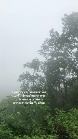 ขอคำแนะนำหน่อยค้าบ ไม่รู้ว่าจะไปต่อสายไหนดีค้าบ🙏🏻 #ขอคําแนะนําหน่อยค้าบ #ฟีดดด 