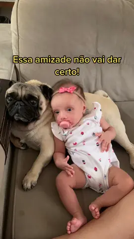 Muito mais que amigos, são cúmplices!  #pugs #bebes #criancas #bebesfofos 