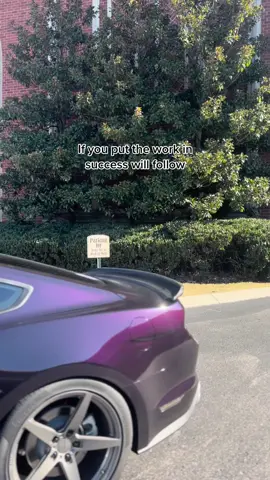 Work for it 😌 #mustanggt #mustanglife #stanggirl #cartok #coyote #v8 #stanggang #s550only #s550nation #cargirl