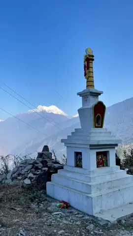 ठुलो दिल छ हजुर मेरो …माया गर्नुस या घृणा ब्याज सहित दोब्बर फिर्ता गरिदिन्छु |🌿❤️#visitrasuwa #beautifulrasuwaa #naturelove #rasuwanepal❤️❤  