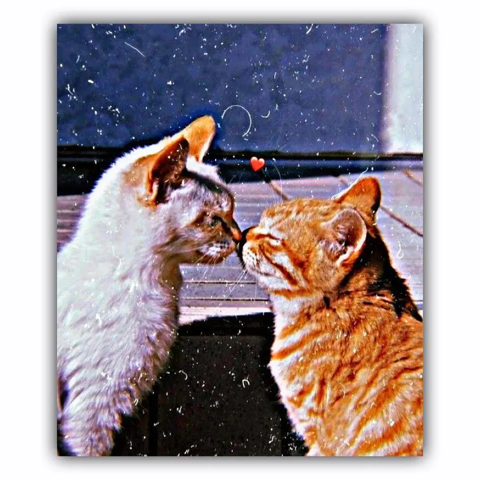 Whats hearts most? 1.seen but not reply  2.Active but unseen 🙂❤️#3barcopylink_koroplz🥺 #Its__tanju #everyone #viralvideo #foryoupage #grow #tiktok #fypp #@TikTok Bangladesh 