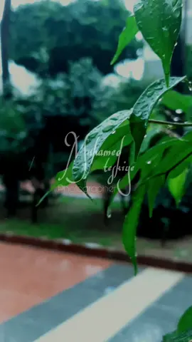 كخيبةِ الشجرة التي مدّت أغصانها للرّيح؛ فكسّرتها          #مساء_الخير #تصويري #مرسين #explore #fyp #foryou #مطر 