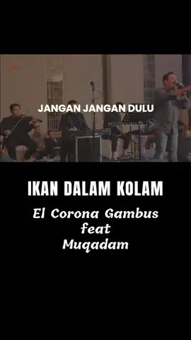IKAN DALAM KOLAM full lagu - EL CORONA GAMBUS #ikandalamkolam #elcorona #gambus #elcoronagambus #muqadam #ikan #kolam #fyp #fypシ #viral #videoviral #sound #soundviral #muqadam #aryadwipangga #ardiansyahlangit 