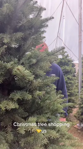 My favorite activity 🎄