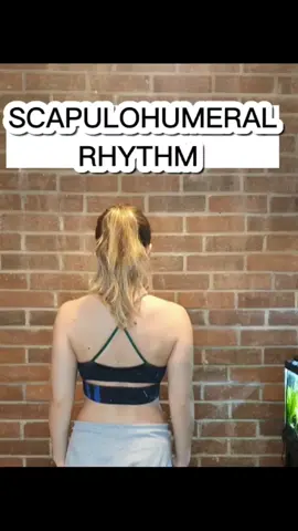 Let your SCAPULAE move!  Every time you reach your arm up over 90°, the scapula needs to move as well.  #scapula #scapularmobility #lytyogamethod #upward #rotation #elevation #yoga #functionalyoga #functionalmovement #strong #shoulders #funkcionalnajoga #joga #scapulohumeralrhythm #forwardfold #liftup 