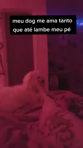 você também laimberia? 👀