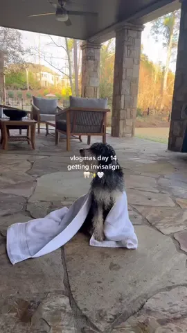 first day Invisalign update: I’m in pain lol ✨🦷 pls send any & all Invisalign advice #Vlogmas #dayinmylife #dayinthelife #ditl #invisalign #dentist #invisalignsmile #crookedteeth #puppies #puppytiktok #whitelotus #minivlog #sahgf #ugccreator #ugc #contentcreator #sunday 