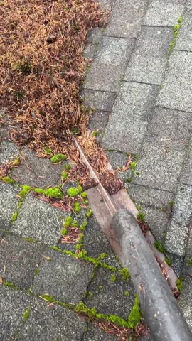 What if they say no? #alexhormozi #sales #guttercleaning #roofcleaning #salestraining #sidehustle #hustle #grind 