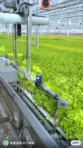 Fully automated vegetable farm. Video credits: China4Tech #automation #farm #agritech #innovation