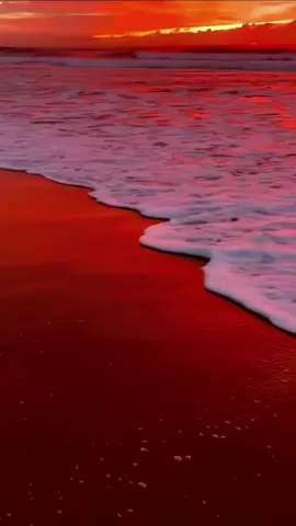 Red sunset over the sea.#scenery #nature #sea #sunset #foryou #tiktok #fyp #healing #relax #calmdown 
