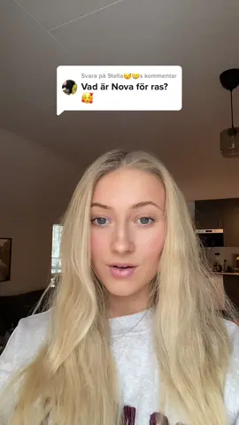 Svarar @Stella😴🥲 Vad har ni för hundar där hemma?💗 