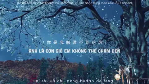 ||.. Anh là cơn gió em không thể chạm đến là giấc mộng em chẳng thể tỉnh, là vết thương không kịp chữa lành..|| #giacmokhongthedanhthuc #醒不来的梦 #nhactrung #nhactrungtheoyeucau #nhactrungquoc #nhạctrung #nhạctrung #nhạctrungquốchay #nhạctrungquốc #nhactrungquoctamtrang #nhaccophong #xuhuong #fyp #douyin #zian_520 #zianteam