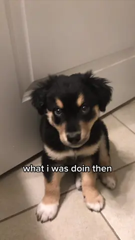 Always watching me in the bathroom 🥺