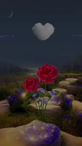 #frases♥️ #parati🥰 